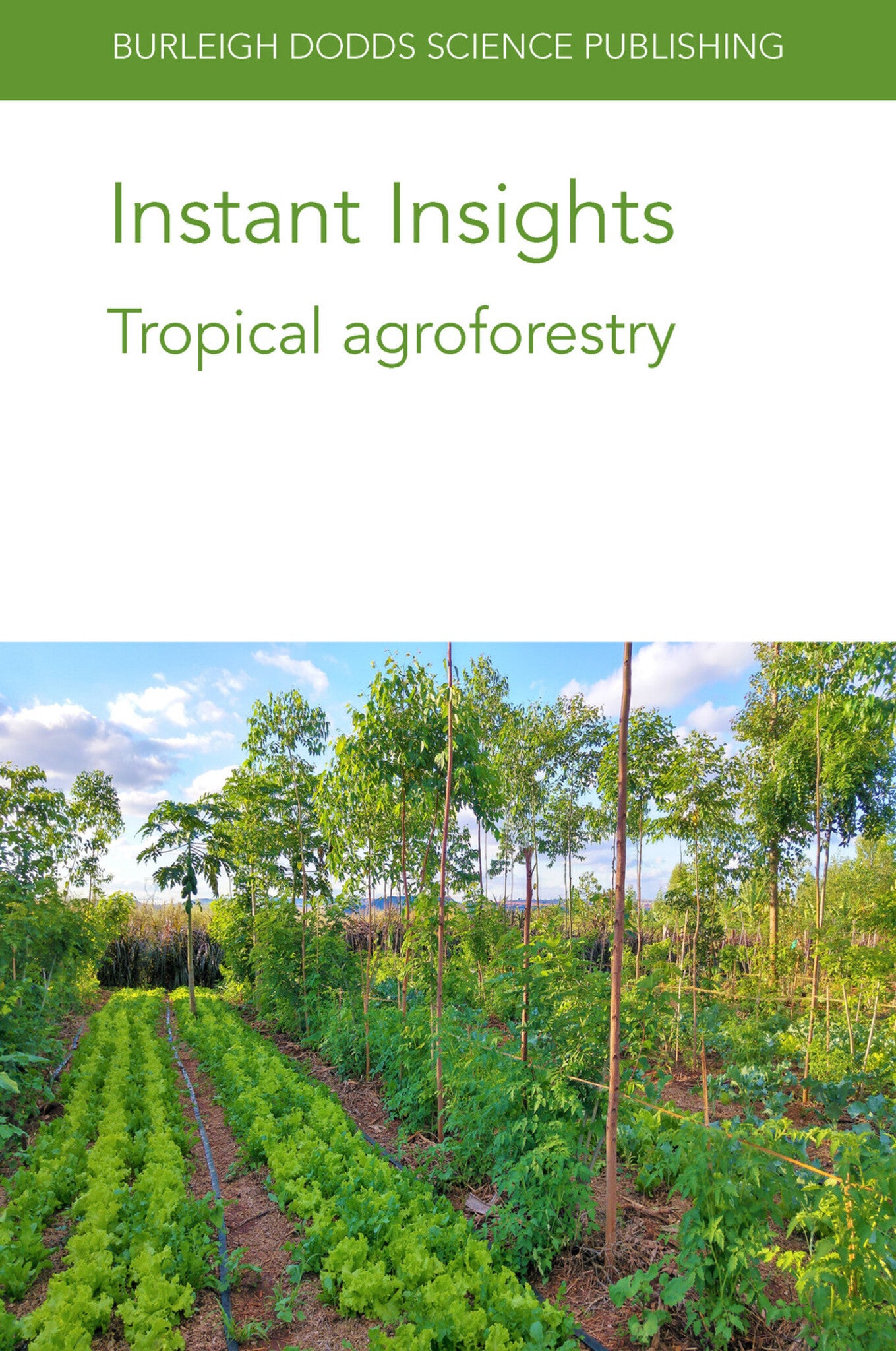 Cover image for Instant Insights: Tropical agroforestry ISBN 9781801462822